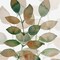Leaf By Leaf 1 Poster Print by Boho Hue Studio Boho Hue Studio - Item # VARPDXBHSSQ023A